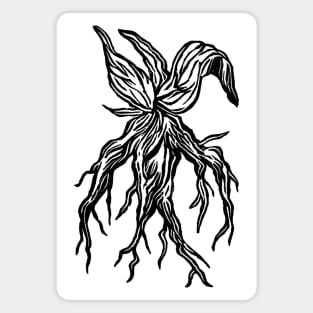 Mandrake Root Magnet